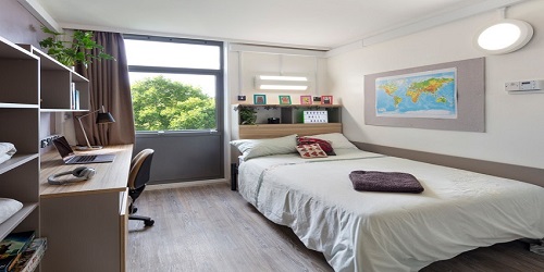 A room in Badock Hall with a double bed and desk and a view of trees out of the window.